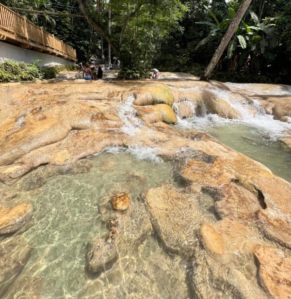 Horseback Riding & Dunns River Falls - Image 2