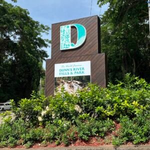 Horseback Riding & Dunns River Falls