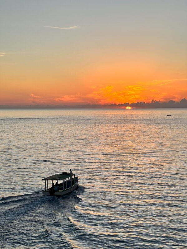 Negril 7 Mile Beach + Rick’s Café - Image 3
