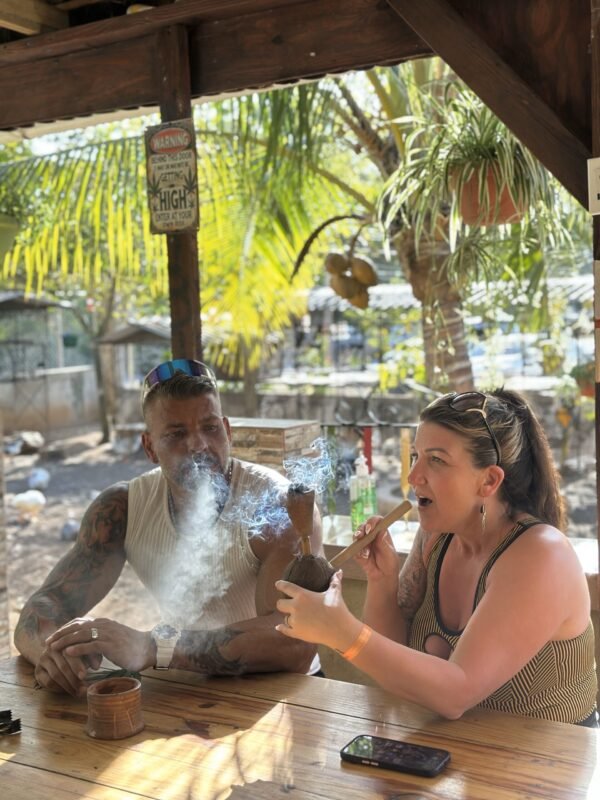 Jetski + Cannabis and Bird Sanctuary - Image 2